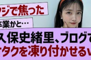 久保史緒里、ブログでオタクを凍り付かせるｗ【乃木坂46・乃木坂工事中・久保史緒里】