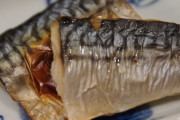 一番おいしい焼き魚さんを決めましょう