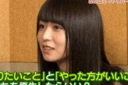 【欅坂46】「無難な道を歩きたくてこんな仕事してんの」←これの意味