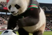 中国人「サッカー日本代表のこの選択は、果たして正しいのだろうか」　中国人「勝利は習慣で、敗北も習慣」「そろそろ取らないと」
