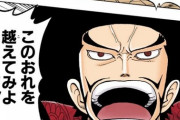 【悲報】初期ワンピ「ミホークは七武海の一角。同じような奴が他に6人いる」