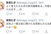 一晩放置したお茶を飲んでお腹を壊す家長むぎ『不潔なのか虚弱なのか……』【Vtuber】