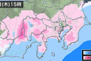 東京都心で雪 #緊急 |  　　　　　 　　　＿＿＿_