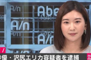 沢尻エリカ逮捕！