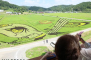 羽生結弦、田んぼアートで見事な舞！宮城・角田市で恒例の絶景が見頃に。約50アールの壮大な絵を見ようと観光客続々、黄金の稲穂は9月末まで。