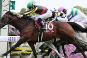 【競馬予想】[3] 第40回マイルチャンピオンシップ(GⅠ) /2023