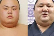 【大相撲】力士2人を賭博容疑で聴取　埼玉県警、書類送検へ