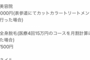 【画像】女さん「こちらが普通の女の子を維持するための見積です」→20万いいねｗｗｗ