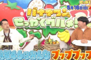 【日向坂46】バナナマン設楽さん×佐々木久美の絡みwwww
