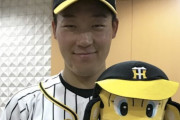 【悲報】大山雄輔さん 阪神の枠に収まらない選手になる