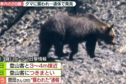 羅臼岳でクマに襲われ男性死亡、近くにいた親子グマ駆除で「なぜ子グマを殺した」「世界自然遺産を返還すべき」「税金の無駄」と苦情多数
