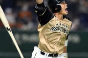 【悲報】日本ハム王柏融さん 確変終了