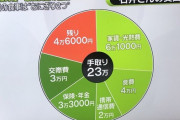 日テレ「手取り２３万円という最低賃金の生活では毎日おにぎり2個しか食べれません」批判の声