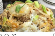 【悲報】甲子園カツ丼を潰したインスタさんをご覧ください