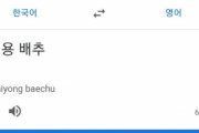 韓国人「Googleで『キムチ用白菜』を検索すると出てくる衝撃的結果に韓国人が発狂！」→「日本と中国人は何時も韓国に負けてイライラしている」　韓国の反応