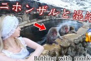【画像】日本在住イギリス人グラドルさん、旅館で日本の猿と一緒に温泉入浴した結果・・・・