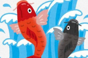 【話題】「川をかつての姿に戻そう」と、コイの稚魚200匹を川に放流してまさかの炎上　コイが与える悪影響を専門家が指摘