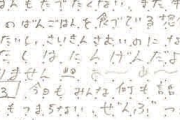 養子として日本に受け入れされたブラジル人女性（20）鬱で学校を辞め在留資格を満たせず強制送還される...
