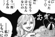 【悲報】ワンピースのこのシーンが難解すぎると話題にｗｗｗｗｗ