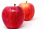 俺「りんごは英語で？」学のないバカ「apple！」俺「はぁ・・・Malus pumilaな？」
