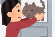 女さん（30）「猫もらったけど飼うの家族に反対されてしもたわ。どうしよう・・・せや！」