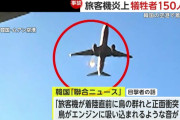 【韓国】「バードストライク」vs「それでは説明できない」…旅客機事故原因について専門家たちの意見は様々