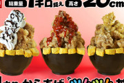 【悲報】大阪のからあげ専門店「唐揚げ1キロ ツムツム丼ｗｗｗｗｗｗｗｗｗ」