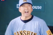 【絶叫】木浪の走者一掃タイムリーに藤川監督も大喜びしてこの表情wwwwww