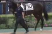 【動画】 東京競馬場の中継で衝撃放送事故　謎の気狂い女が大声でわめきちらし場内騒然