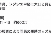 ●ソダシ600万