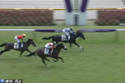 【2歳新馬】ダノンザタイガー弱すぎワロタｗｗｗｗｗｗ