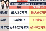 新婚補助金60万貰おうと思ったら世帯年収540万未満とか草