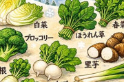 1月に売ってる旬で美味しい野菜ある？