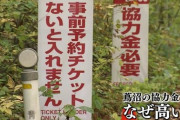 【青森】車1台4000円　紅葉の名所・蔦沼“入場協力金”はナゼ割高?