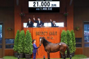 【セレクトセール】「ウマ娘」藤田晋氏がキズナ産駒を2億1000万円で落札