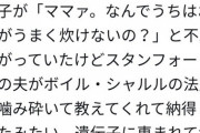 【画像】タワマン民「お米が上手に炊けなくてぴえん?」