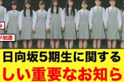 日向坂5期生から嬉しい重要なお知らせがキタ！【日向坂46】