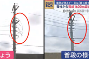 【千葉】電柱から電線1600m盗まれる　電気が使えず…街は「真っ暗です」