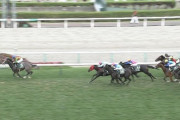 【競馬】中村師、トラストはサイレンススズカみたい。日本ダービーを目標。