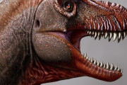 【古生物】T・レックスの近縁恐竜「死に神」 カナダで化石発見