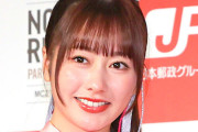 アイドル「ホコリって普段触らない所だから溜まるんだし、触らない所をわざわざ掃除する必要ある？」