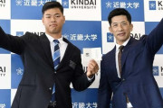 阪神の近大・佐藤1位指名で再燃 甲子園「ラッキーゾーン復活」待望論