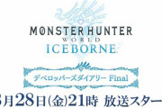 【予想】デベロッパーズダイアリーfinal…これが強化パターンもあるのかな！？