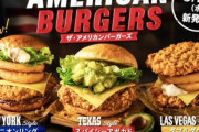 【画像】ケンタッキー、本気のハンバーガーを出してしまうｗｗｗｗｗｗ