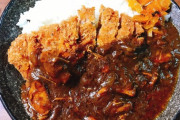 椎木理佳さんの作ったカレーwww