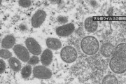 新型天然痘、最初の感染者は「ゲイとバイの男性グループ」、感染経路は「サルとの性行為」