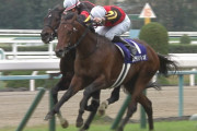 【競馬】ステルヴィオ、阪急杯一週前追い切りが渋い件に木村師「このレースで脚を使えないようなら・・」