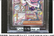 ポケモンカードのミモザさん120万円で落札wwww