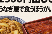 うなぎって1000円出して牛丼屋で食うより2500円出してうなぎ屋で食うほうがいいよな