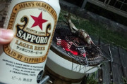 田舎民ワイ「庭に七輪出して魚焼いてっとビールをぷっはぁ！！」都会j民「…わ、ワイも」